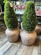 2 stk. Vaser m. Plante