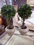 2 stk. Mosaik vaser m. Planter