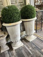 2 stk. Potter m. Plante