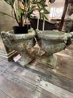 2 stk. Potte m. Plante