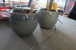 2 stk. krukker med planter