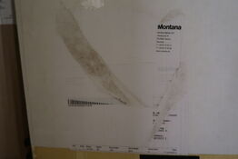 Tilbehør MONTANA TOP380