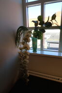 Vase HAY Empire Vase Large med div. Kunstige blomster