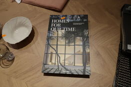 Bog NEW MAGS Homes for Out Times