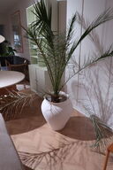 Vase BROSTE CPH Florentina Vase - XL- Off White