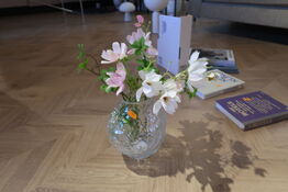 Vase BYON Corallo S Clear med div. Kunstige blomster