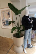 Plante i krukke FERM LIVING Hourglass Pots Cashmere