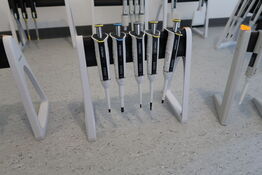 Stativ med 5 stk. pipetter SARTORIUS