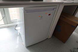 Køleskab ELECTROLUX LXB1AE13W0