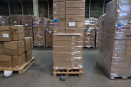 450 stk. 2027/15 Potte Ole antracit sprayed Ø 15 H 13 cm - Varenummer: 523490