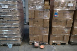 1260 stk. Terrakotta Skildpaddeskjold - vn: 1310