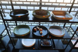 9 stk. skåle og fade EMILE HENRY