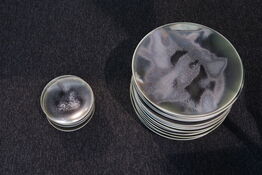 19 stk. tallerkener REVOL