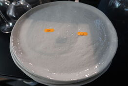 12 stk. tallerkener REVOL YLO126 - 26 cm.