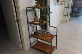 Reol med indhold / hylder med indhold / plante m.m.