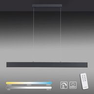 Paul neuhaus q-nila2 langbordspendel antracit m. remote(ubrugt)