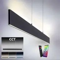 Paul neuhaus q-nila langbordspendel antracit m. remote(ubrugt)