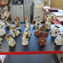 Møntsamling & Ozon-lamper (opsamling)