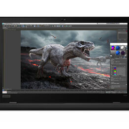 Bærbarcomputere Lenovo ThinkPad P50/P51/P52s/P53S m.fl.