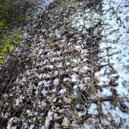 JA entreprenør ApS *Del 2 - Køreplader - Værktøj - Containere m.m.*