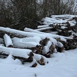 Lastbil m. Kran, Mortorbåd, Lampe Varelager, Birkebrænde m.m.