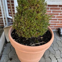 Rigspolitiet, Del 4 Inventar Kælder, Udearealer