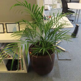 Idrætsakademiets specialskoletilbud ApS *Kontormøbler - Træningsudstyr - Interiør*