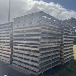 Samleauktion Hou -  August