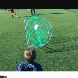 Global Goal (MOMSFRI)