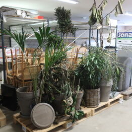 2Ø ApS - Butiksinventar m.v. fra brillebutikker