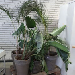 2Ø ApS - Butiksinventar m.v. fra brillebutikker