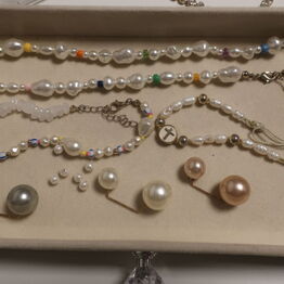 Dijanas gulvservice - håndtasker og smykker - Sorø