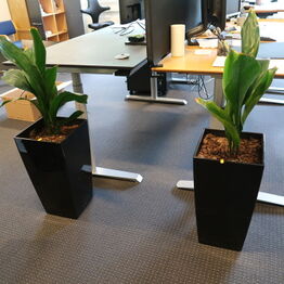 Orloff Odense *Del 1 - Kontorinventar & Elektronik*