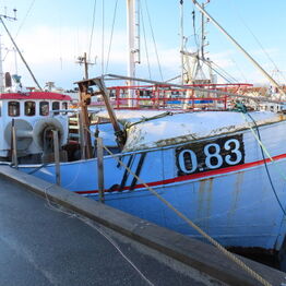 Fiskefartøjer, Joller og Motorbåd