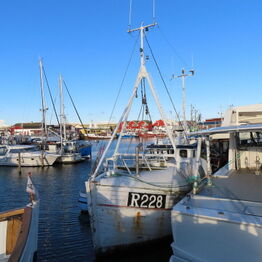 Fiskefartøjer, Joller og Motorbåd