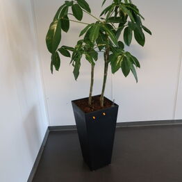 Skatteankestyrelsen Odense