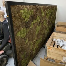 Butiks inventar med mere