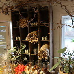 Blomst & Gren ApS *Del 1 - Gavekurve - Planter - Butiksinventar m.m.*