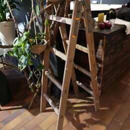 Blomst & Gren ApS *Del 1 - Gavekurve - Planter - Butiksinventar m.m.*