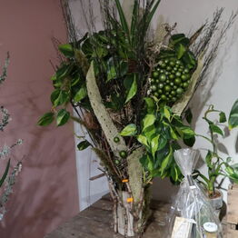 Blomst & Gren ApS *Del 1 - Gavekurve - Planter - Butiksinventar m.m.*