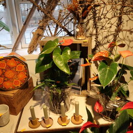 Blomst & Gren ApS *Del 1 - Gavekurve - Planter - Butiksinventar m.m.*