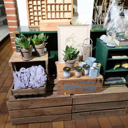Blomst & Gren ApS *Del 1 - Gavekurve - Planter - Butiksinventar m.m.*