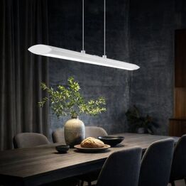 Eglo Langbords Pendler Februar Del 1 2