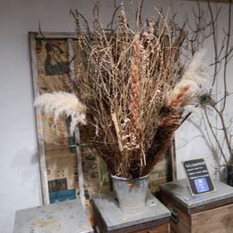 Blomst & Gren ApS *Del 2 - Gavekurve - Planter - Butiksinventar m.m.*