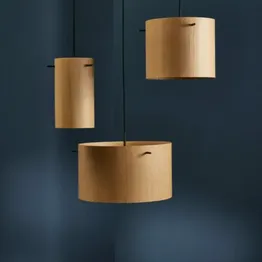 Frandsen Friis Og Moltke Pendler Træ Februar Del 4