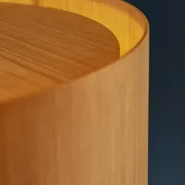 Frandsen Friis Og Moltke Pendler Træ Februar Del 4