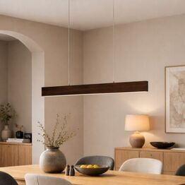 Eglo/Neuhaus Pendler December Del 1