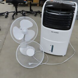 Beauty & The Beast Tattoo - Inventar