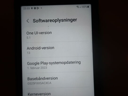 Smartphone SAMSUNG Galaxy XCover 5 64 GB