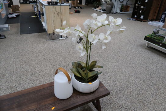 Kunstig Plante i Krukke samt LED Lampe